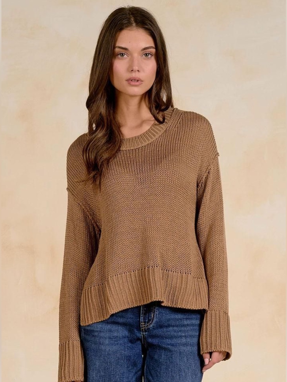 Elan Taupe-Brown Ribbed Crewneck Sweater
